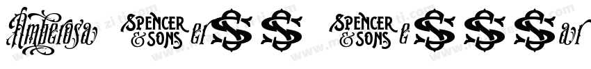 Amberosa Serif Regular字体转换